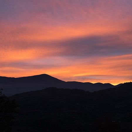 La Banditaccia Monticello Amiata Екстериор снимка