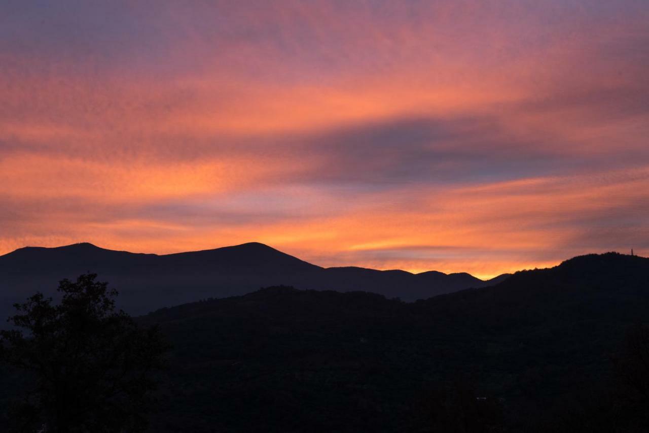 La Banditaccia Monticello Amiata Екстериор снимка