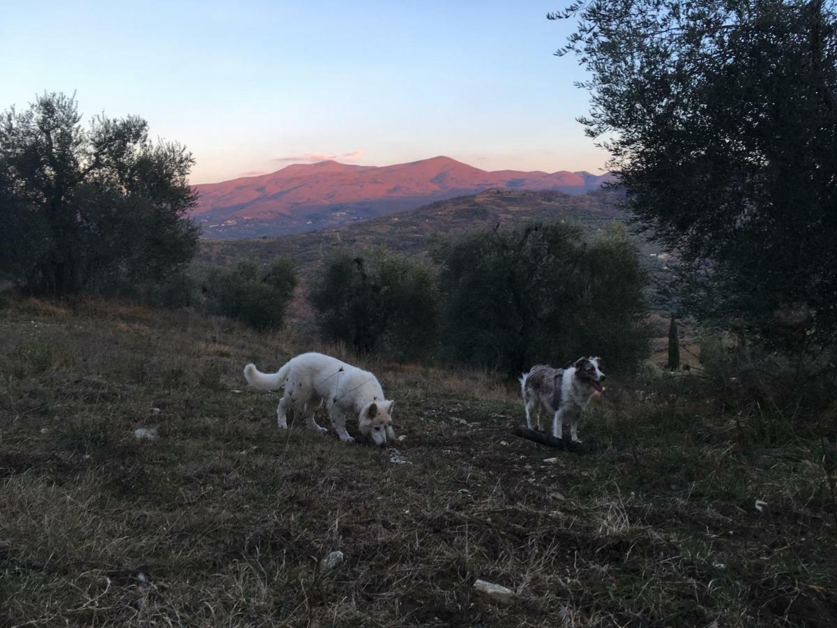 La Banditaccia Monticello Amiata Екстериор снимка