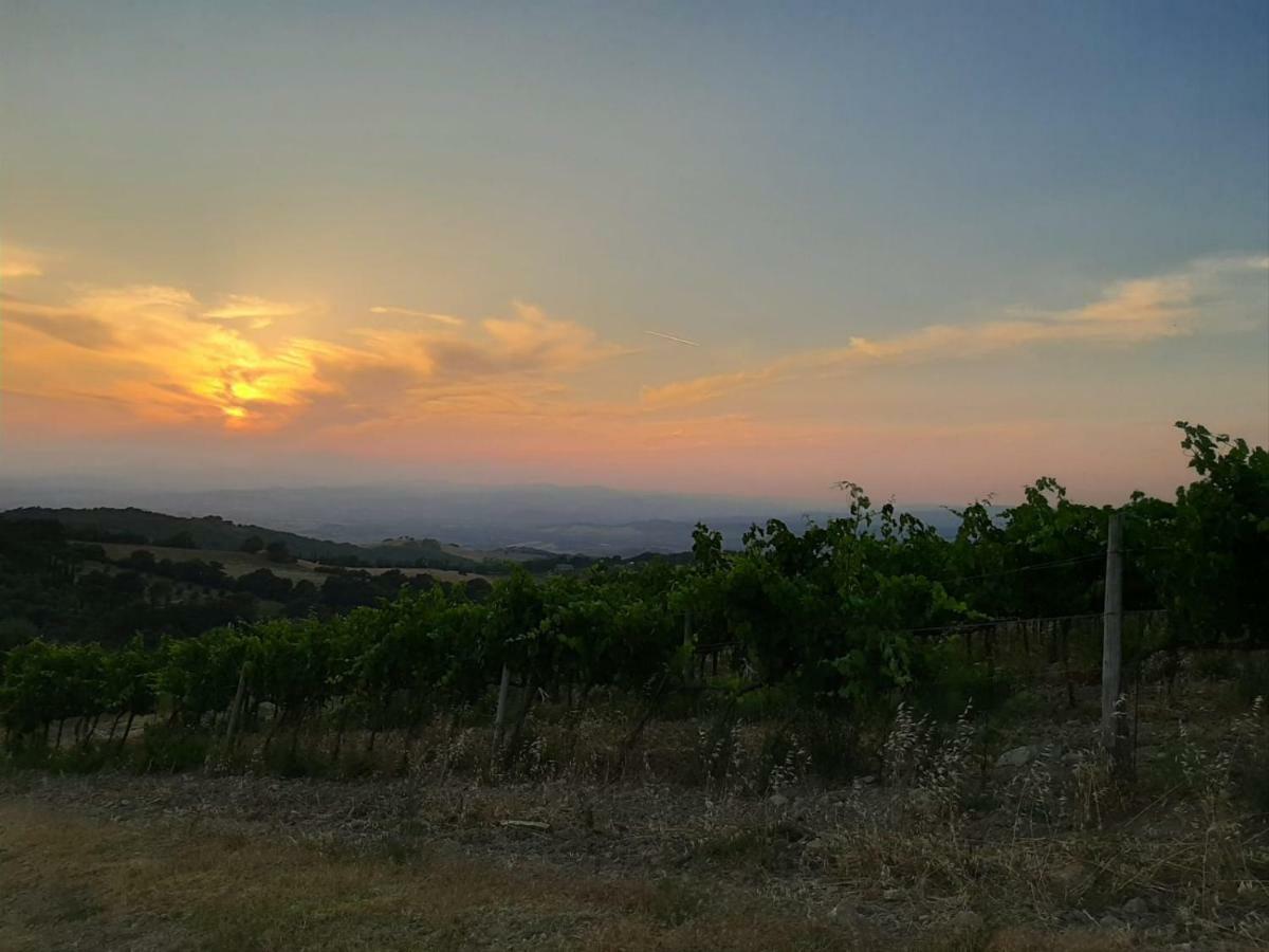 La Banditaccia Monticello Amiata Екстериор снимка