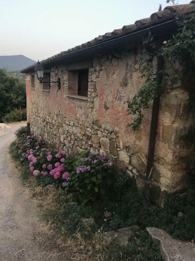 La Banditaccia Monticello Amiata Екстериор снимка
