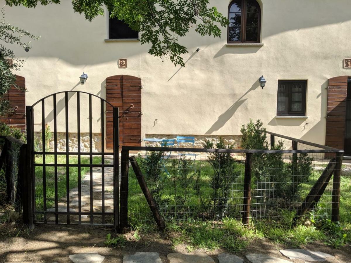 La Banditaccia Monticello Amiata Екстериор снимка