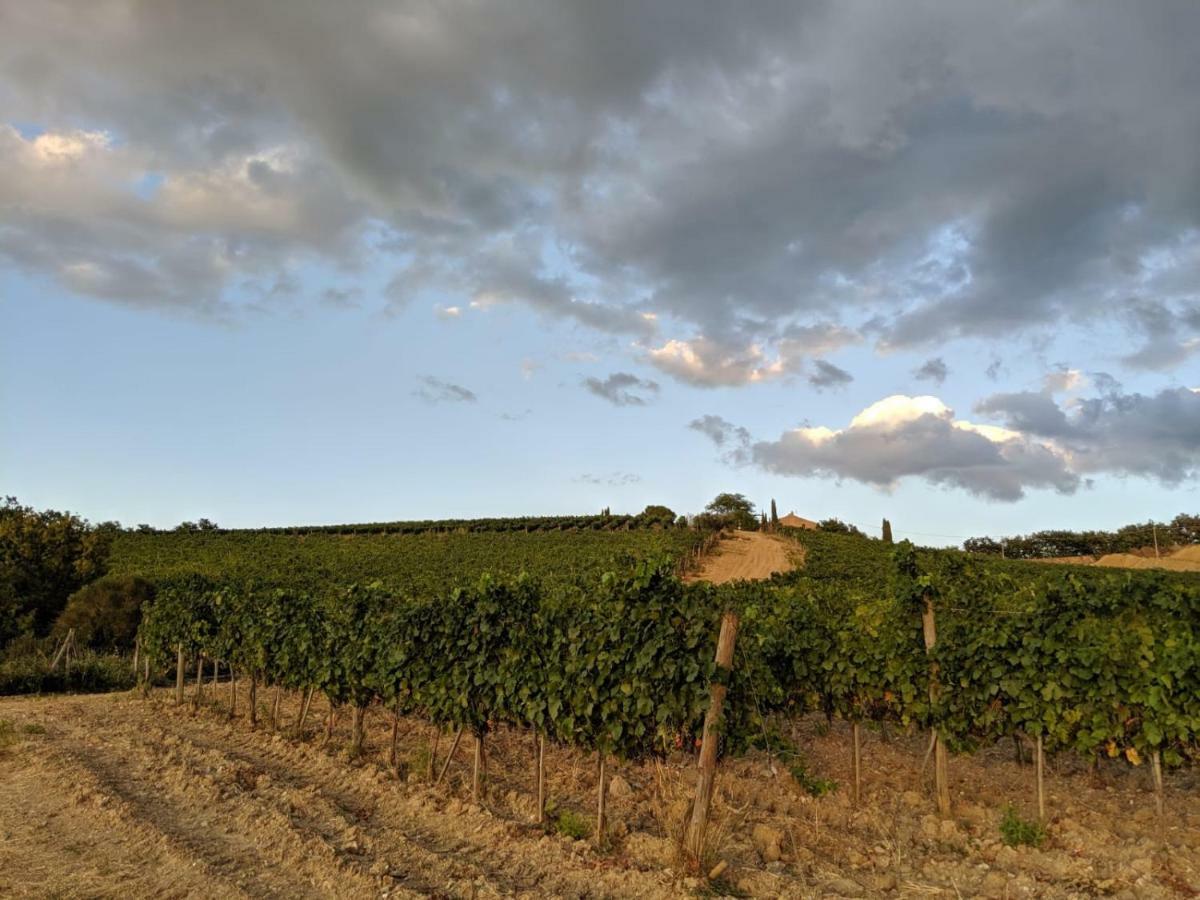 La Banditaccia Monticello Amiata Екстериор снимка